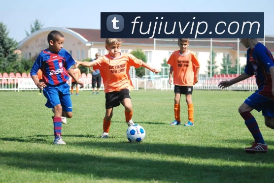 数据防护可视化